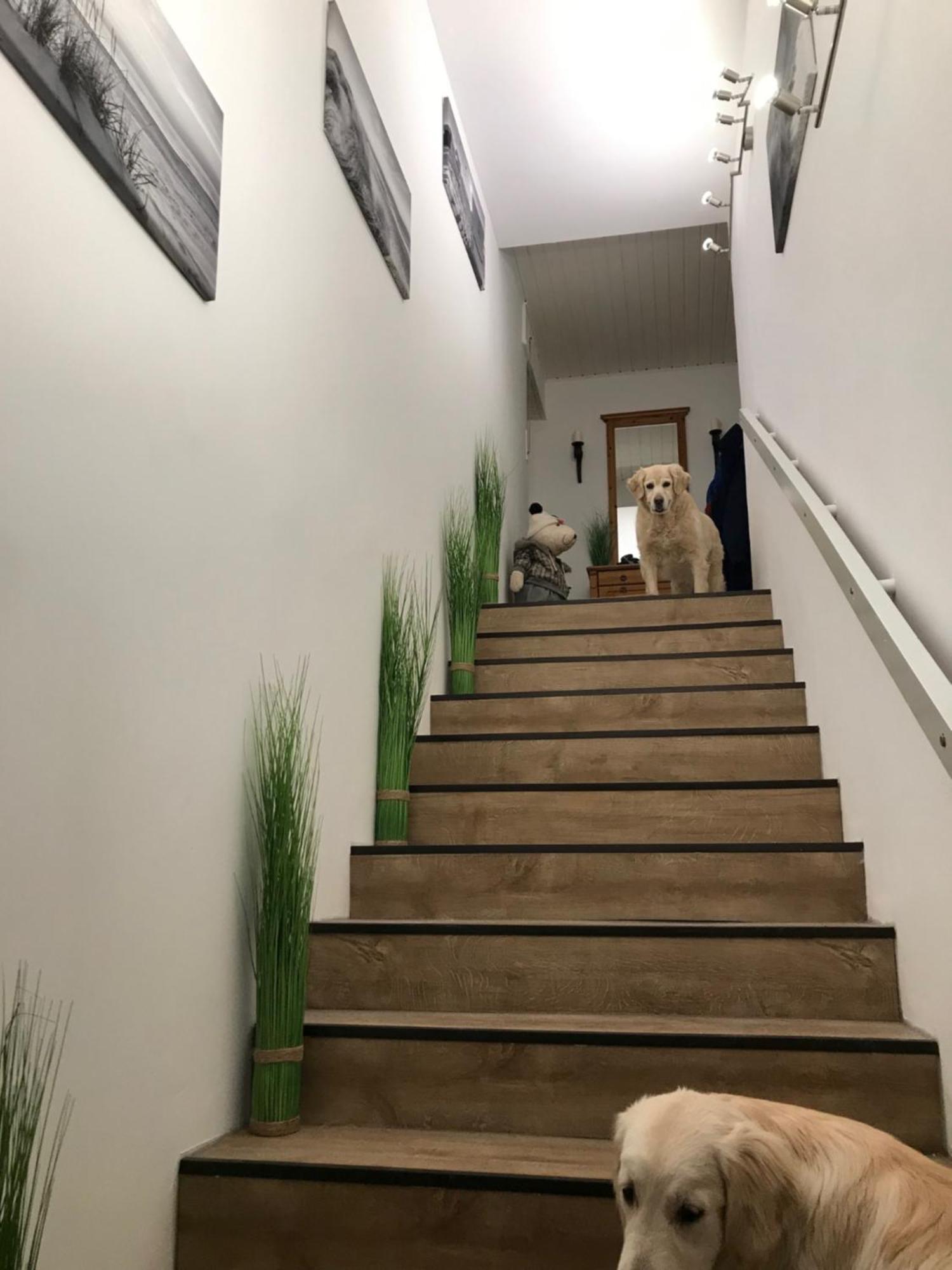 5 1/2 Zimmer Penthouse Luv Und Lee Schillig Exteriör bild